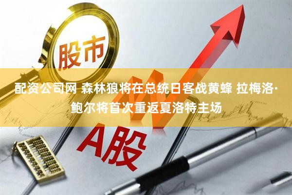 配资公司网 森林狼将在总统日客战黄蜂 拉梅洛·鲍尔将首次重返夏洛特主场